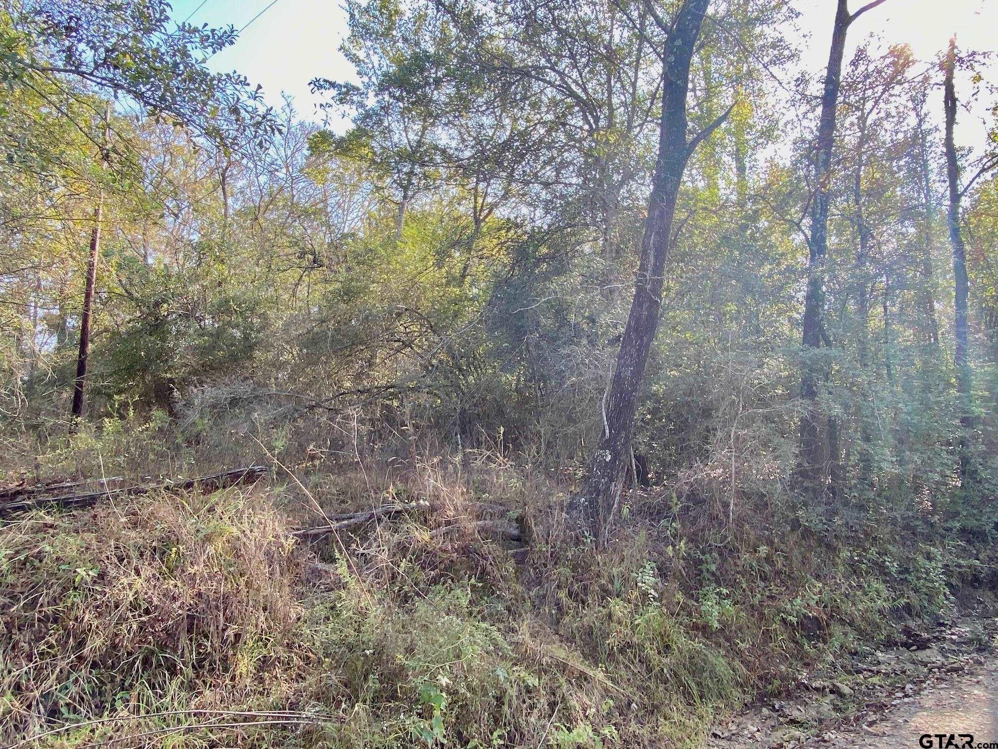 TBD Cr 4030, Crockett, Texas image 6
