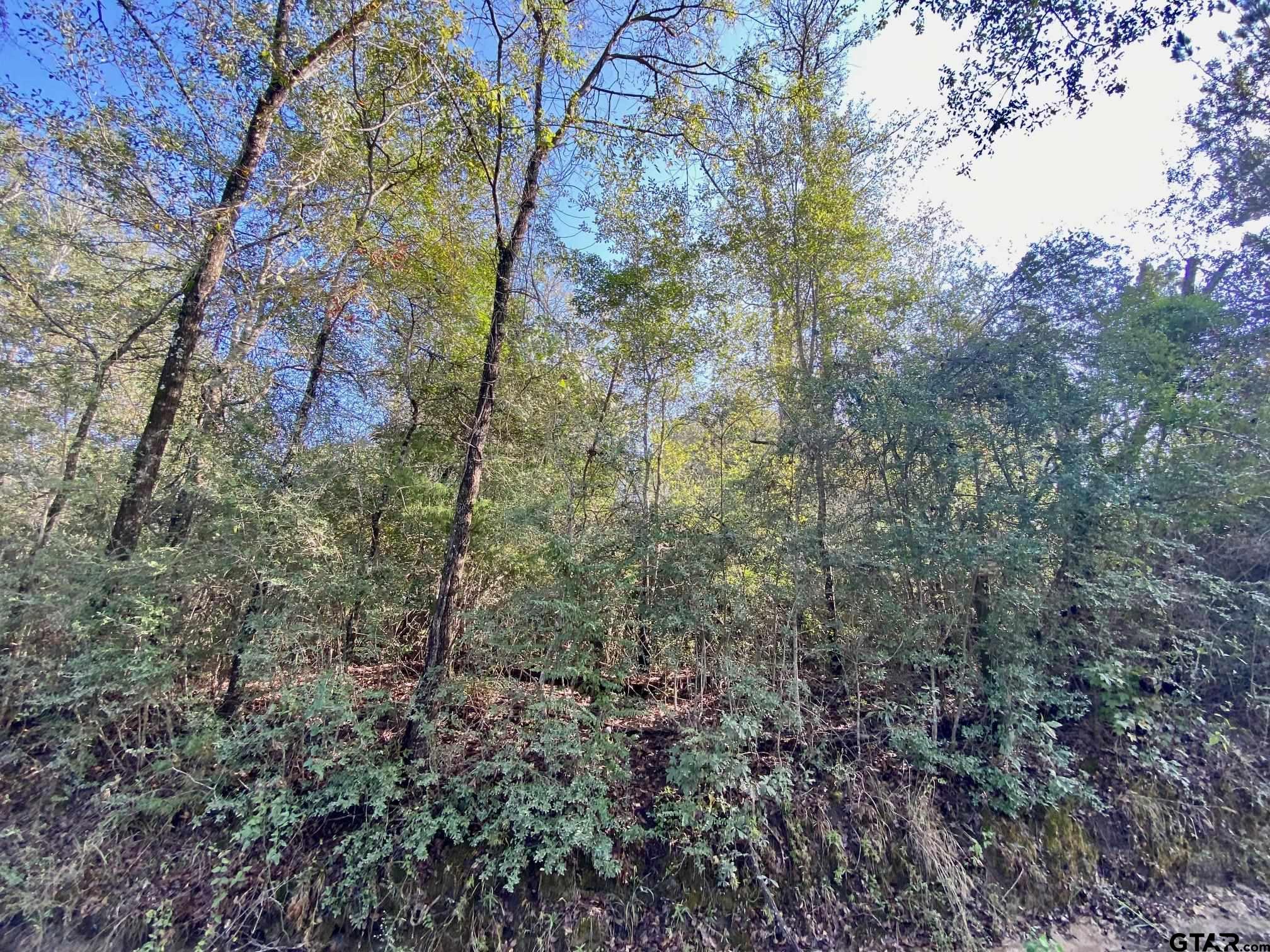 TBD Cr 4030, Crockett, Texas image 9