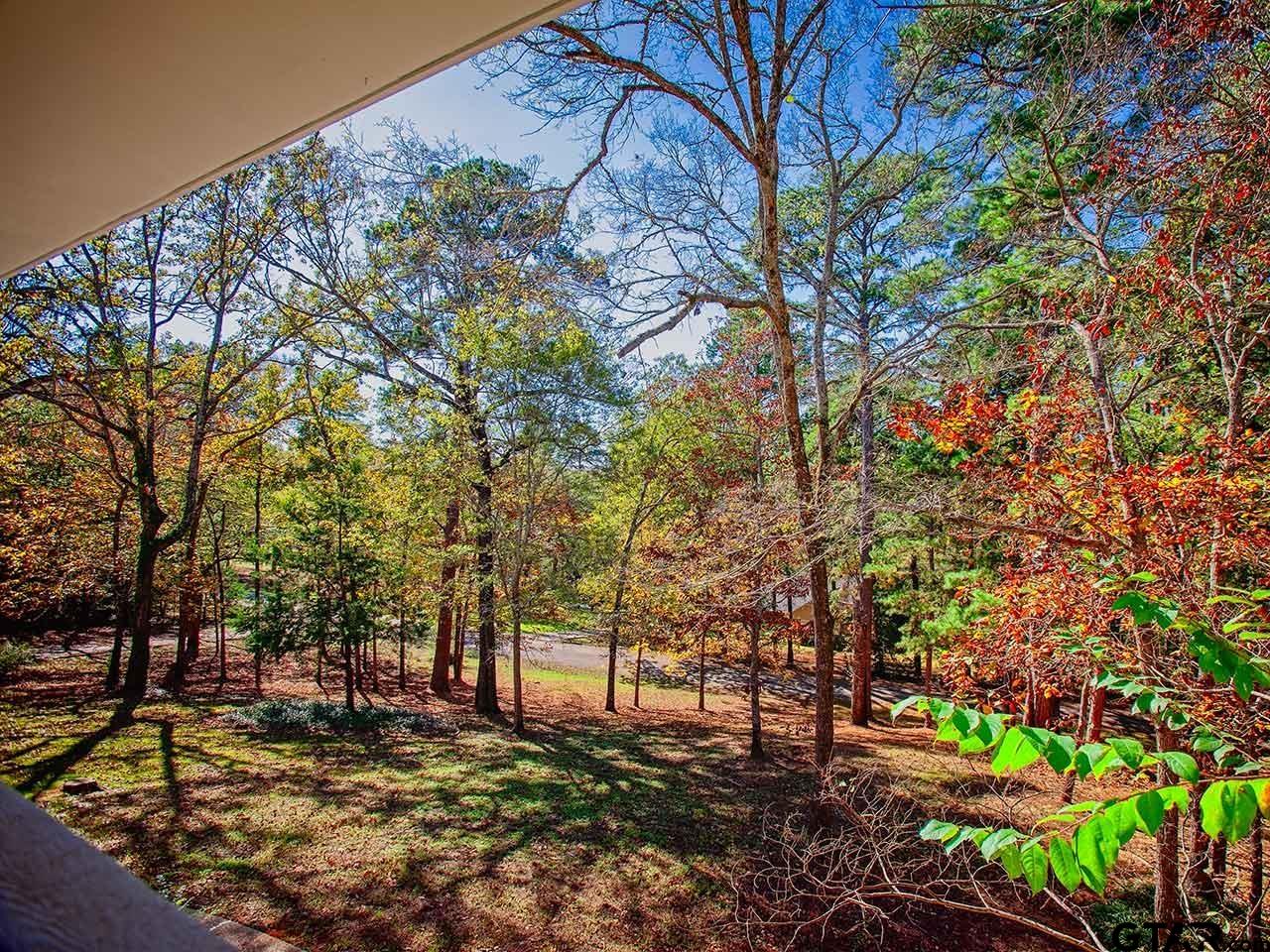 3020 Great Oaks Circle, Tyler, Texas image 23