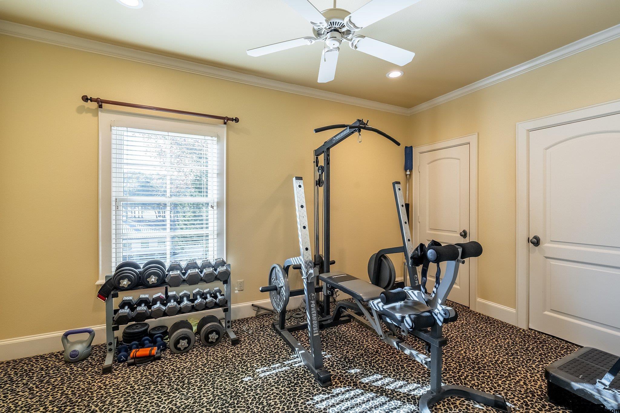Property Image 25