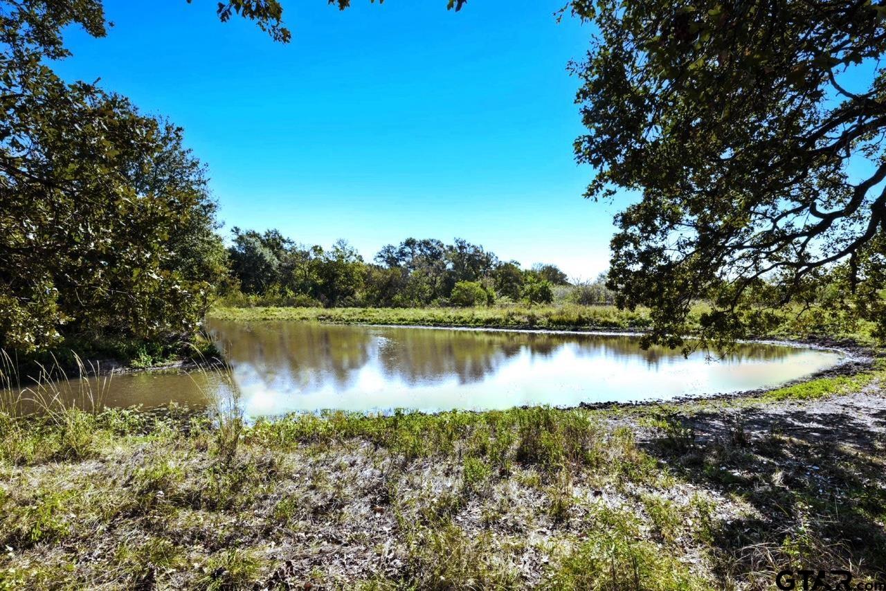 10934 Fm 2728, Terrell, Texas image 26
