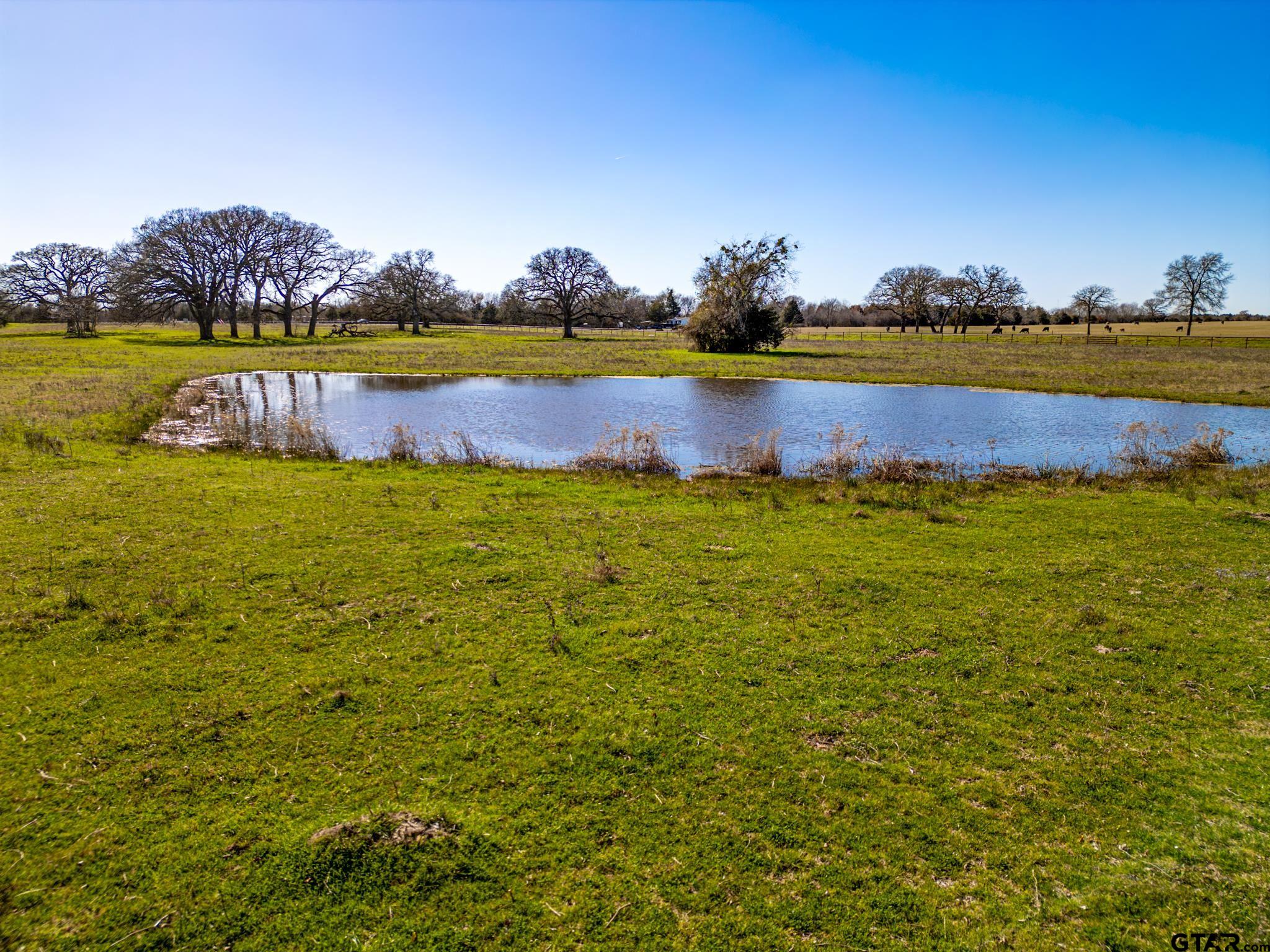 10934 Fm 2728, Terrell, Texas image 27