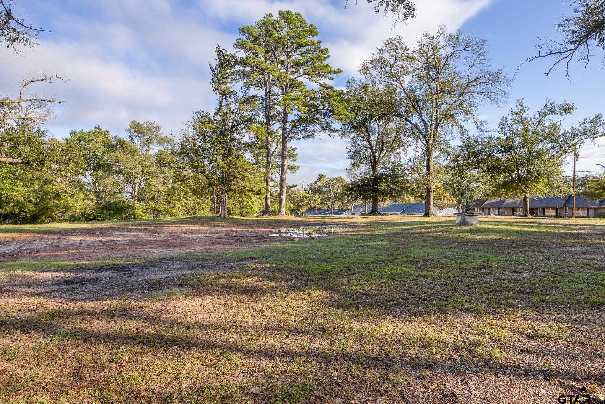 2006 Mcdonald Rd, Tyler, Texas image 11