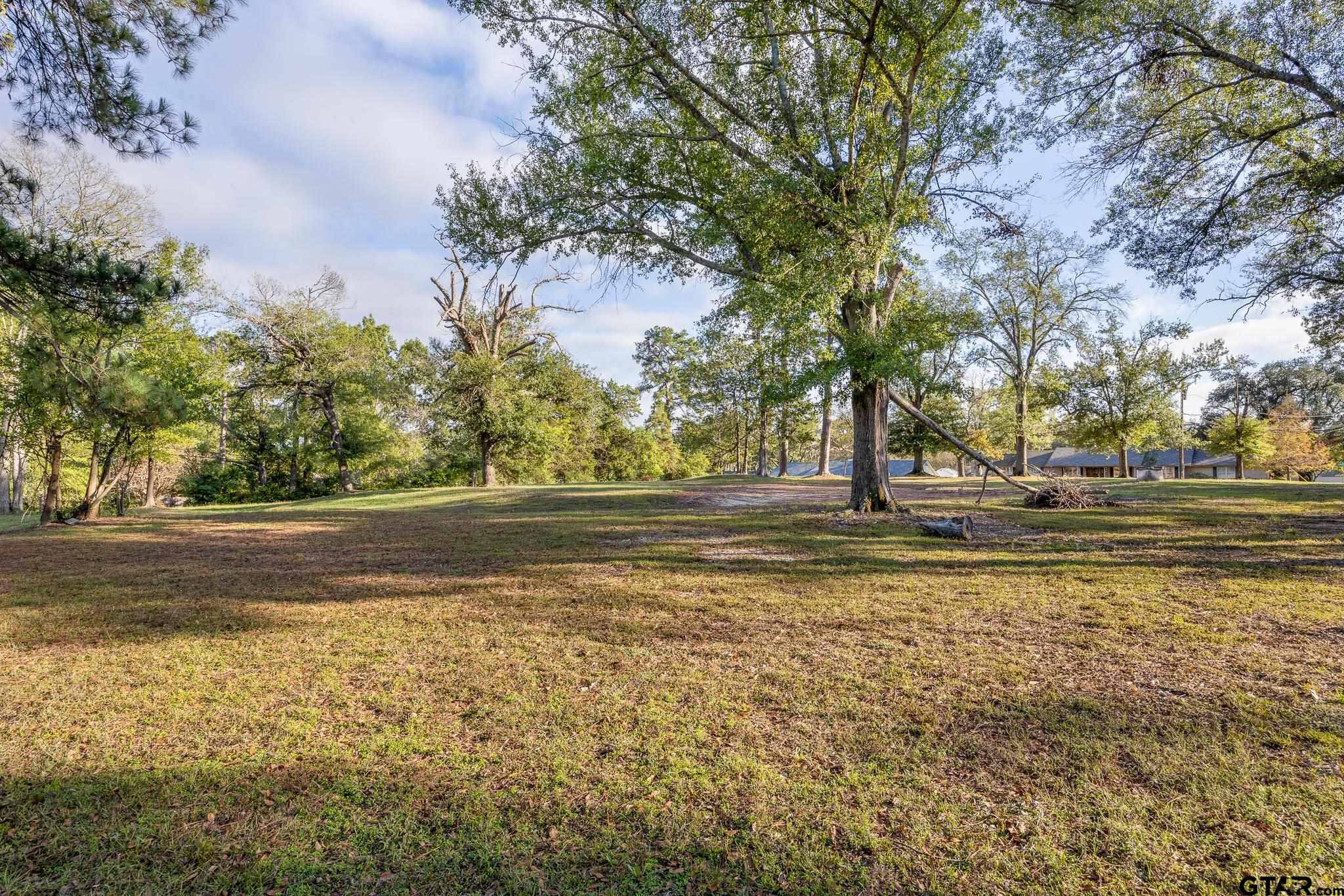 2006 Mcdonald Rd, Tyler, Texas image 12