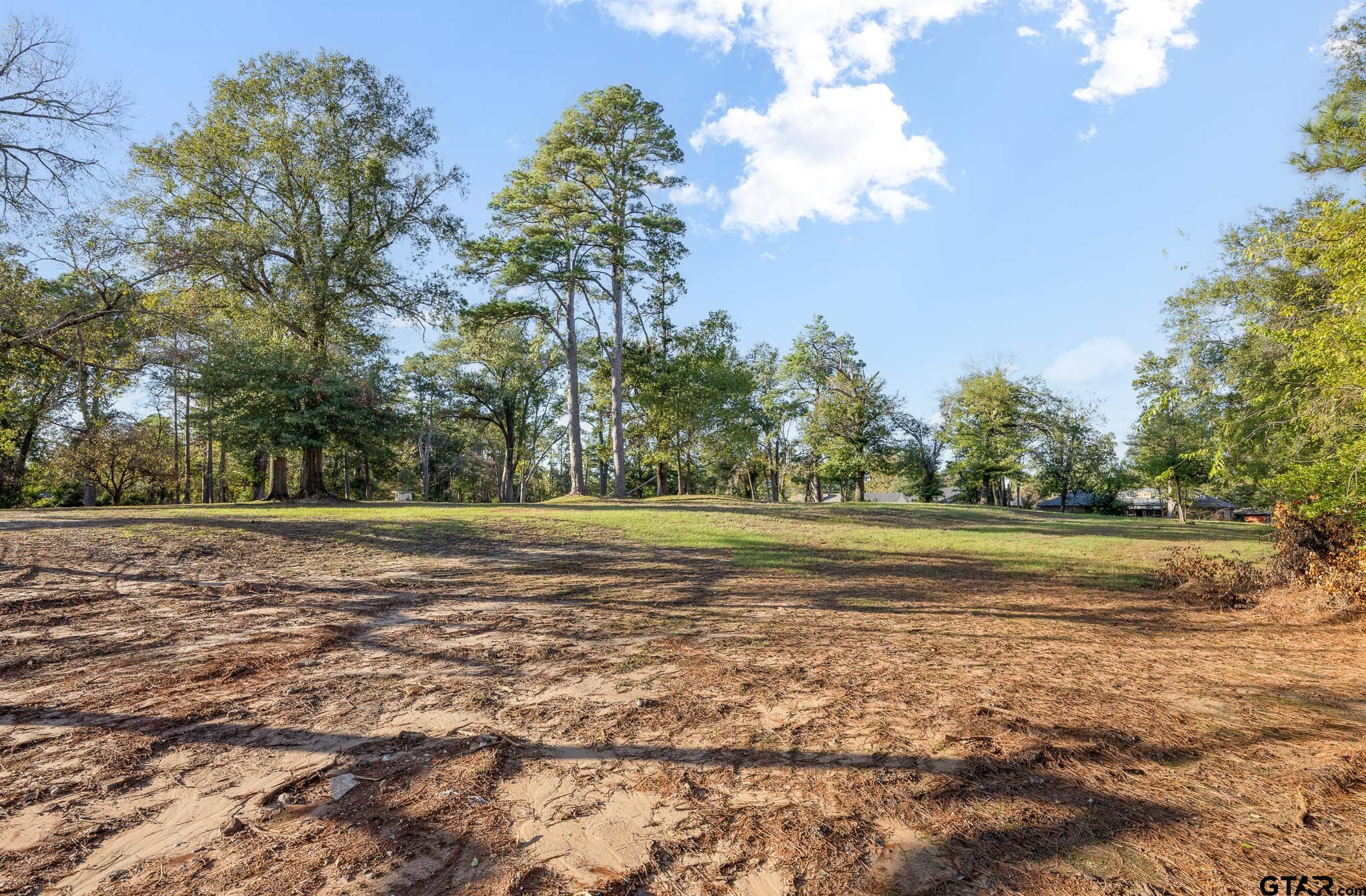 2006 Mcdonald Rd, Tyler, Texas image 13