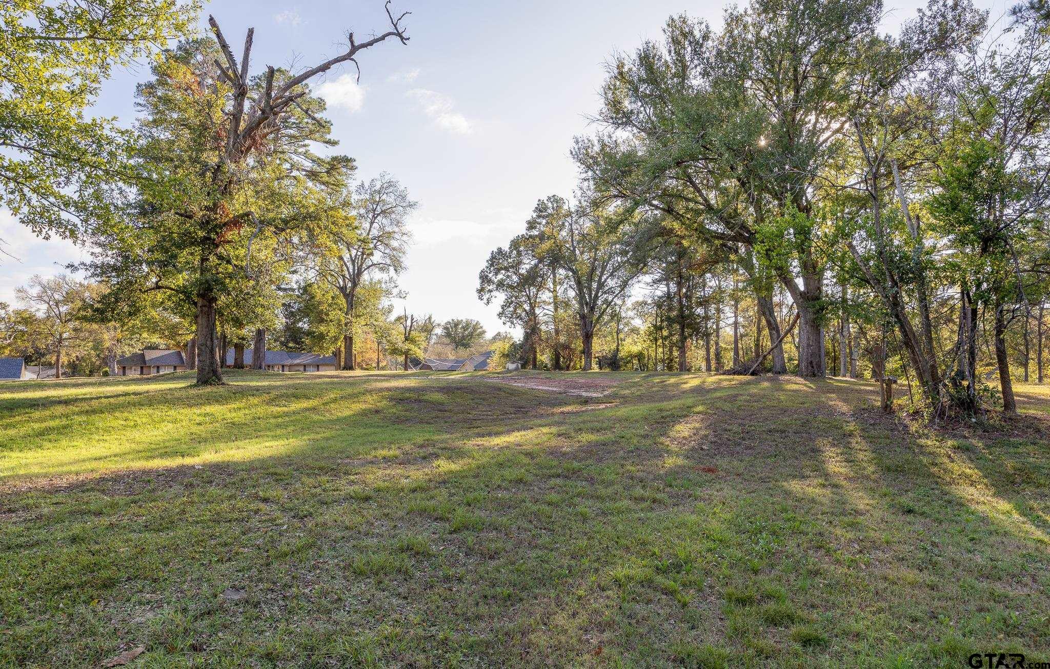 2006 Mcdonald Rd, Tyler, Texas image 14