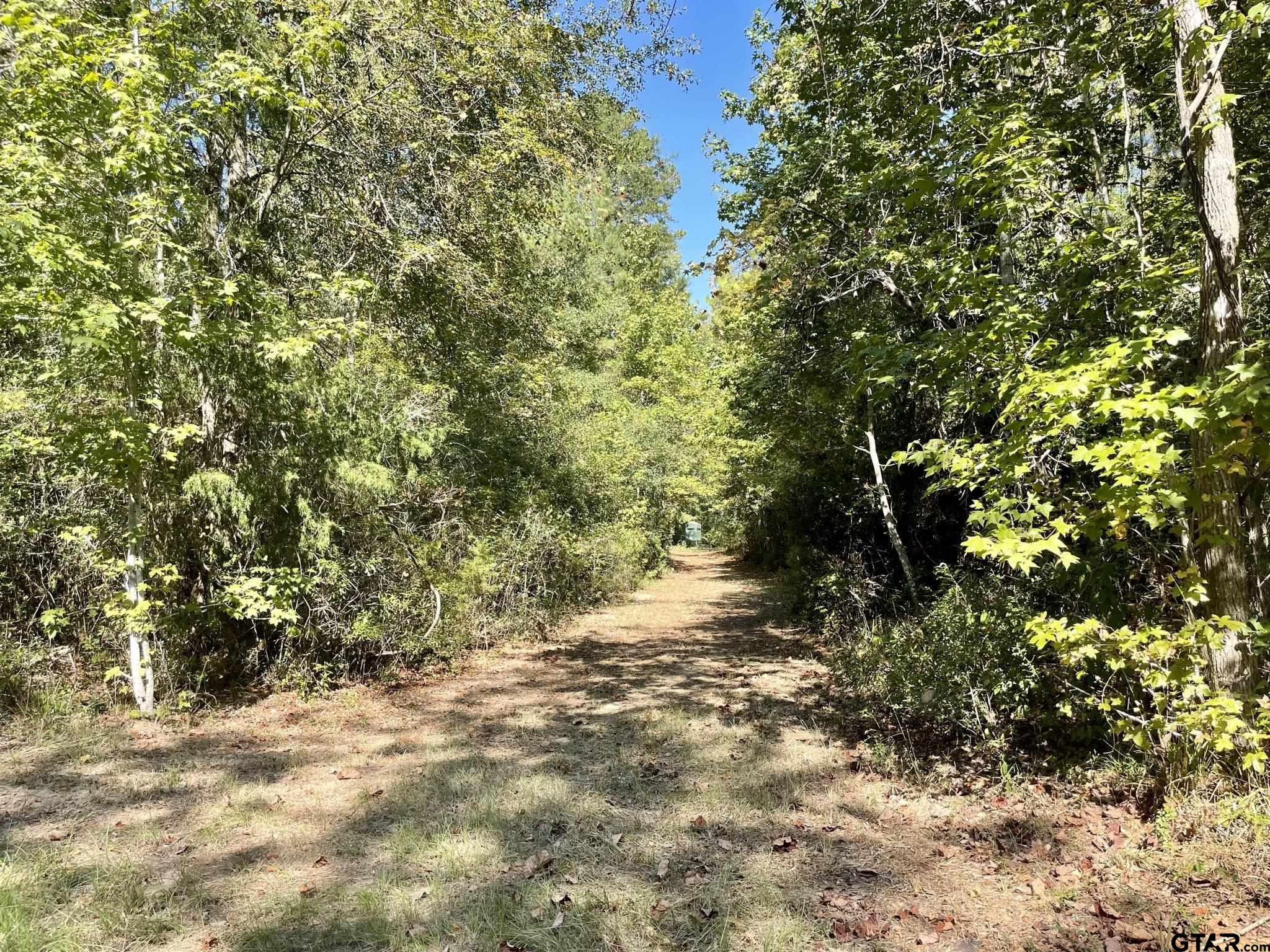 629 Acr 1215, Grapeland, Texas image 34