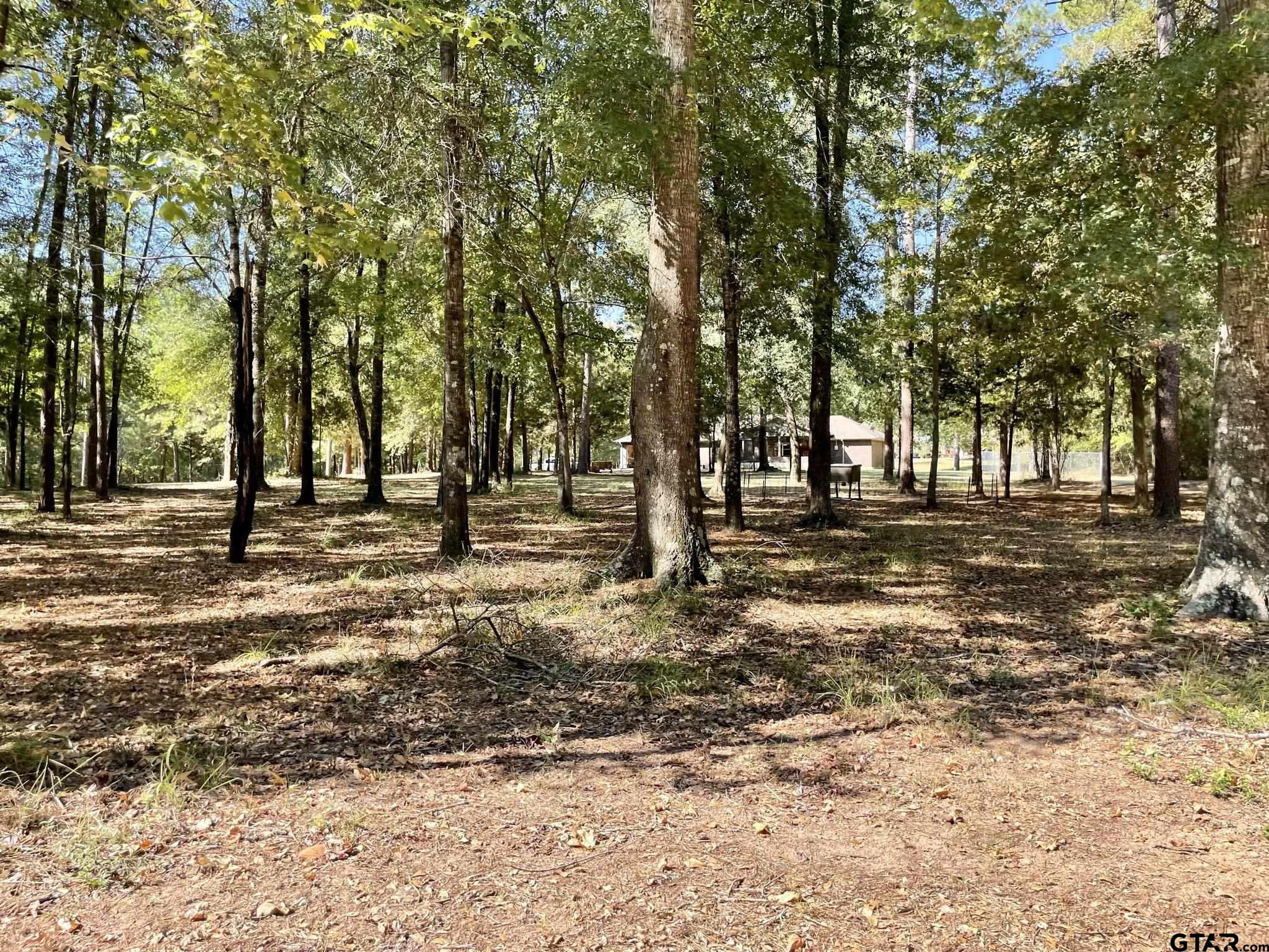629 Acr 1215, Grapeland, Texas image 35
