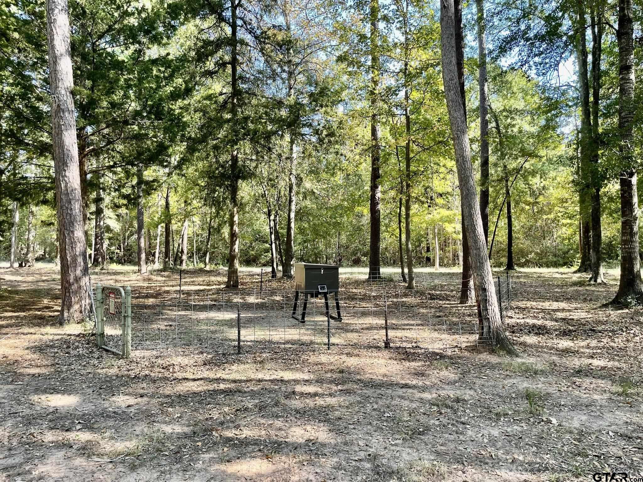 629 Acr 1215, Grapeland, Texas image 38
