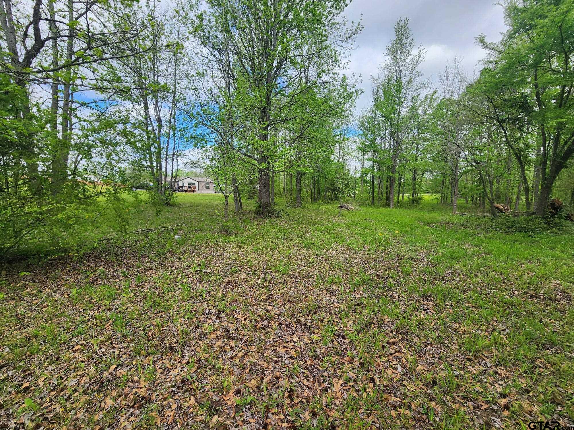 0000 Concho, Quitman, Texas image 9