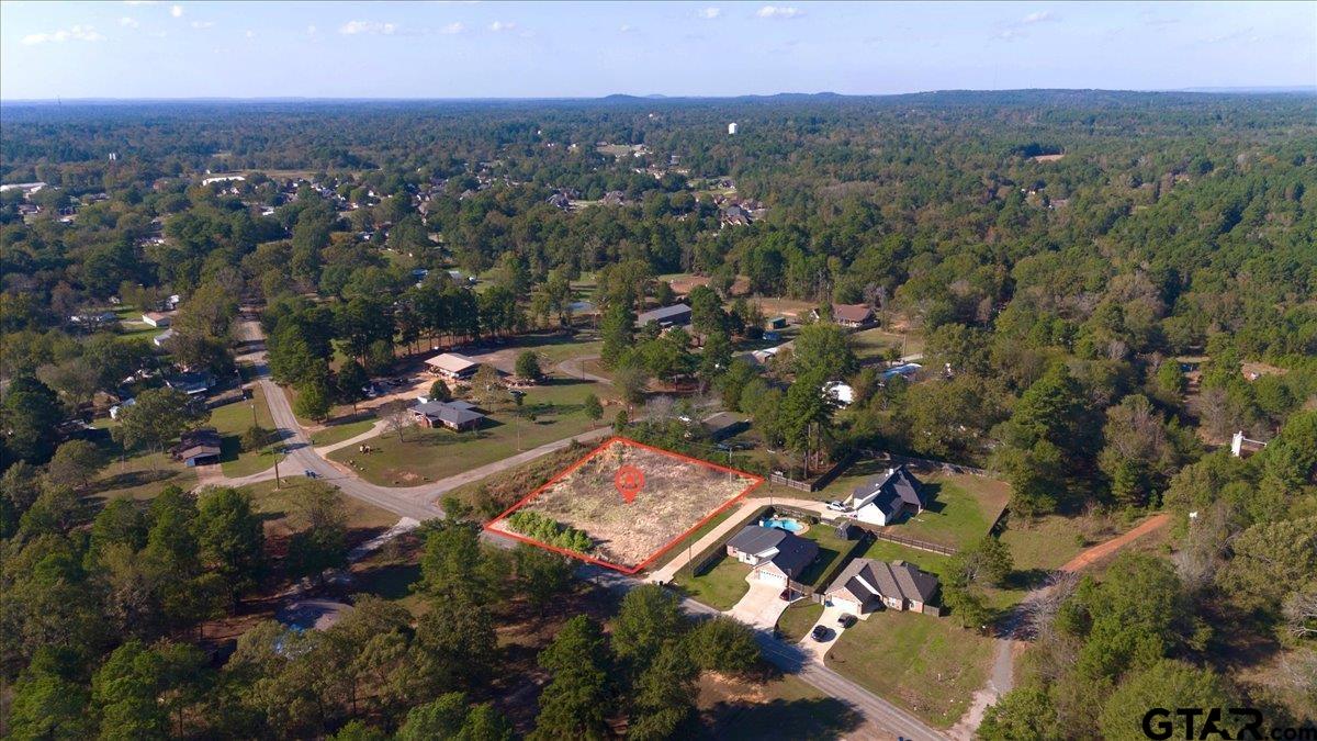1104 N Whatley, White Oak, Texas image 1