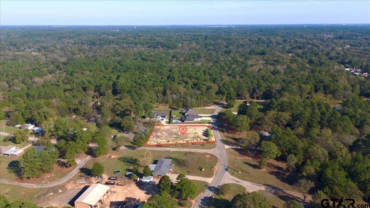 1104 N Whatley, White Oak, Texas image 3