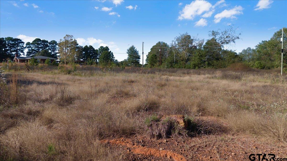 1104 N Whatley, White Oak, Texas image 5