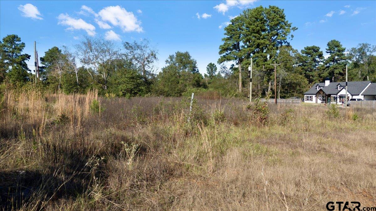 1104 N Whatley, White Oak, Texas image 6