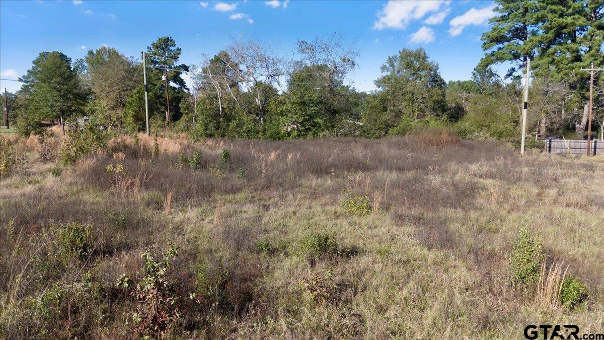 1104 N Whatley, White Oak, Texas image 7