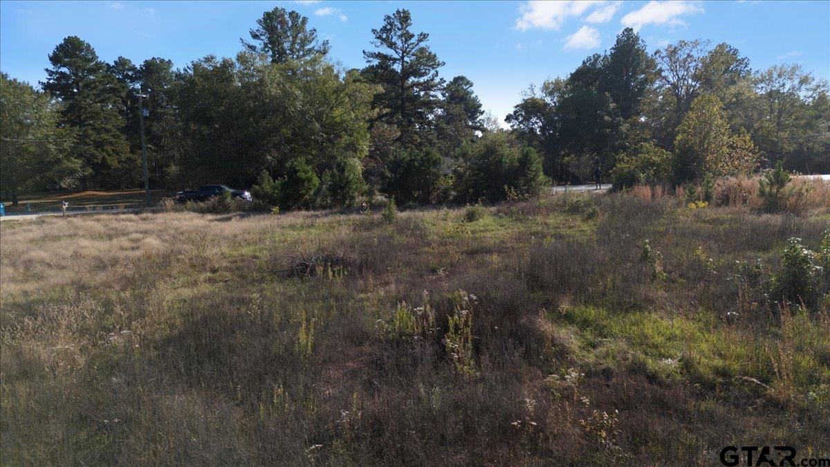 1104 N Whatley, White Oak, Texas image 8
