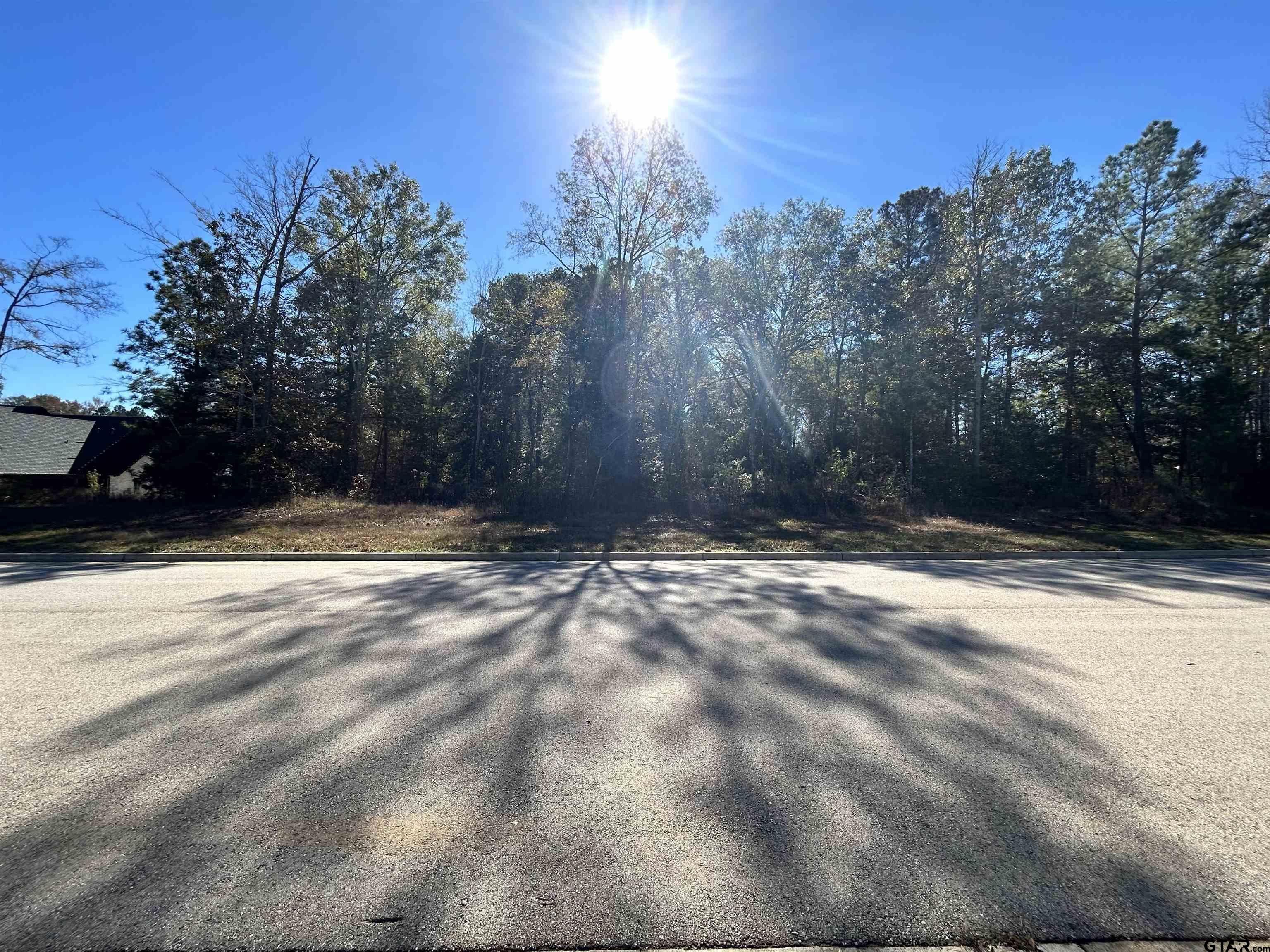 1552 Stafford Drive, Tyler, Texas image 3