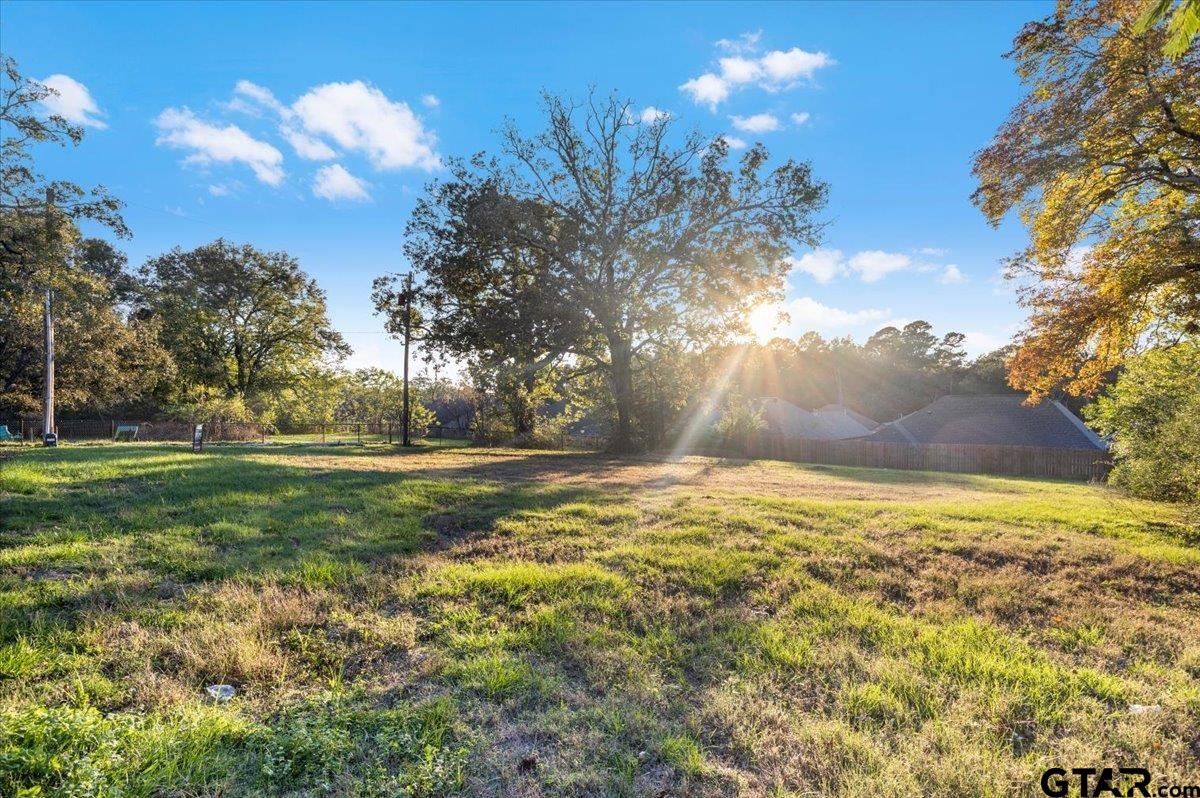 Lot 4 TBD Morrison, White Oak, Texas image 6