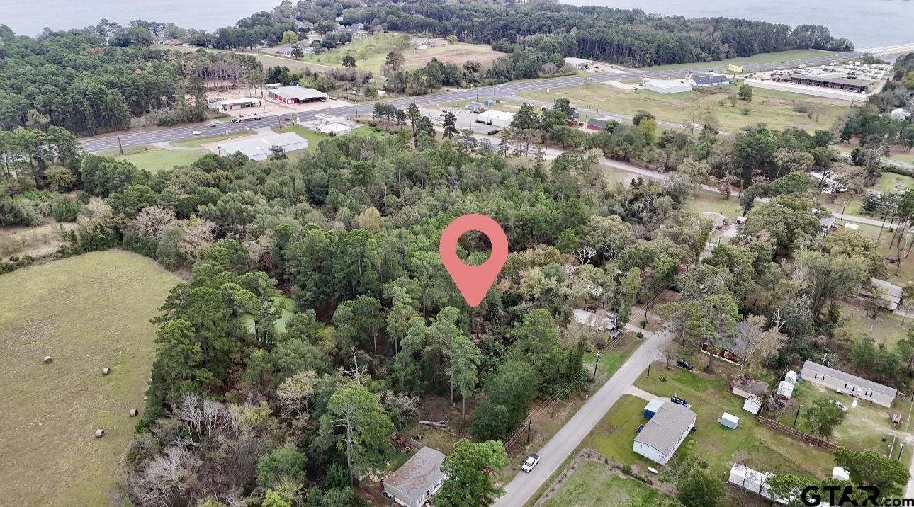 22604 Brierwood Drive, Frankston, Texas image 2