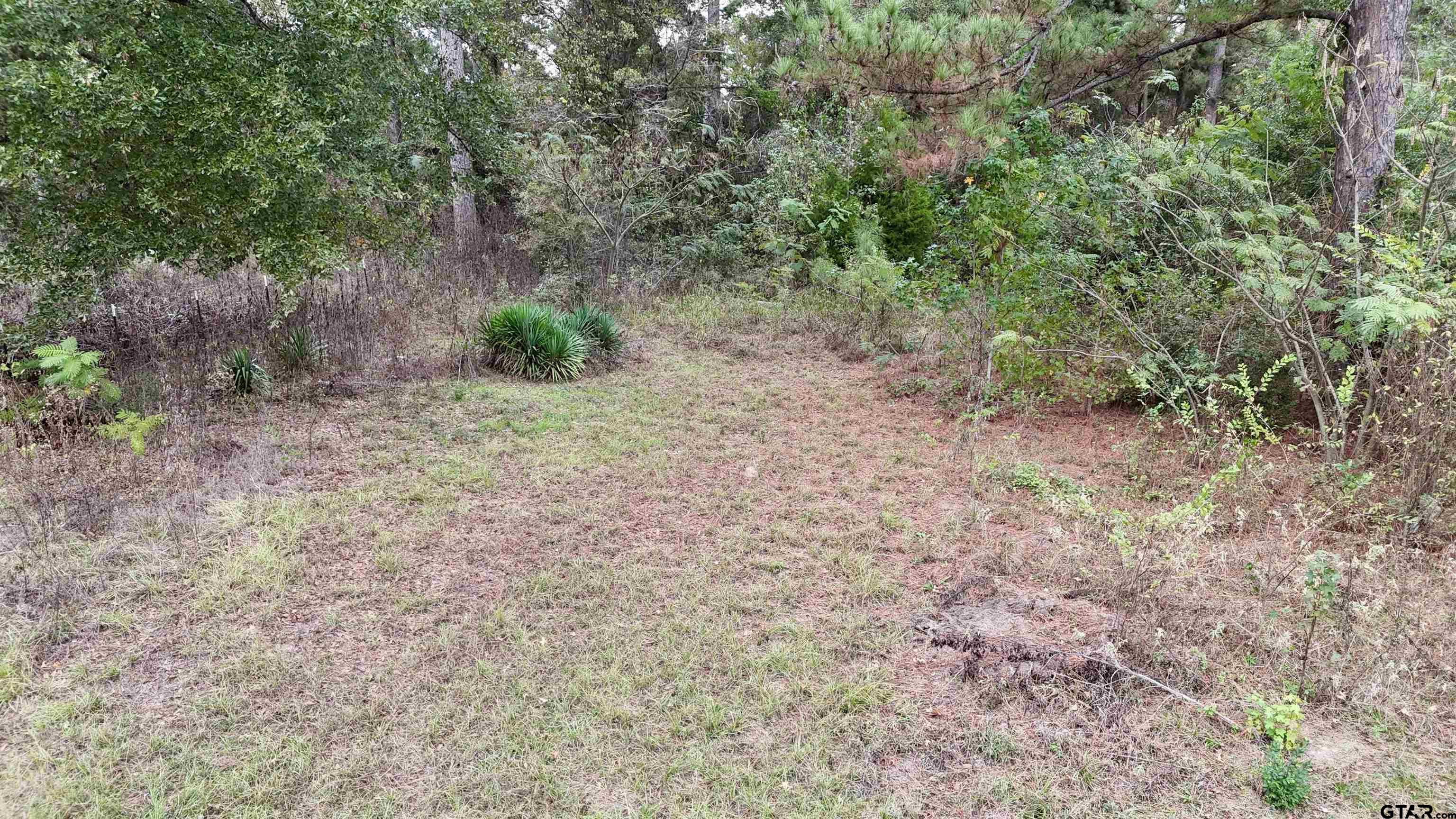 22604 Brierwood Drive, Frankston, Texas image 3