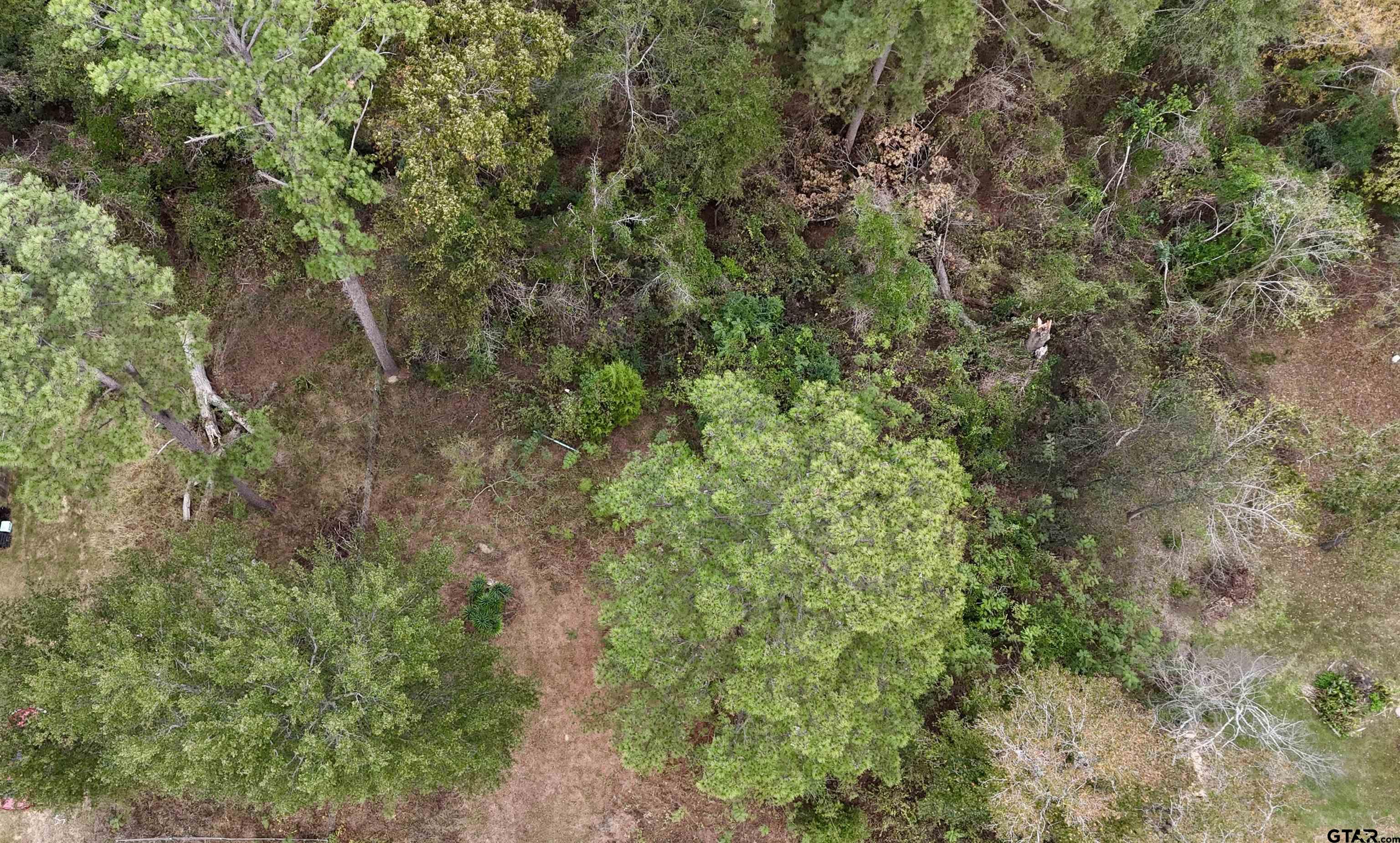 22604 Brierwood Drive, Frankston, Texas image 4