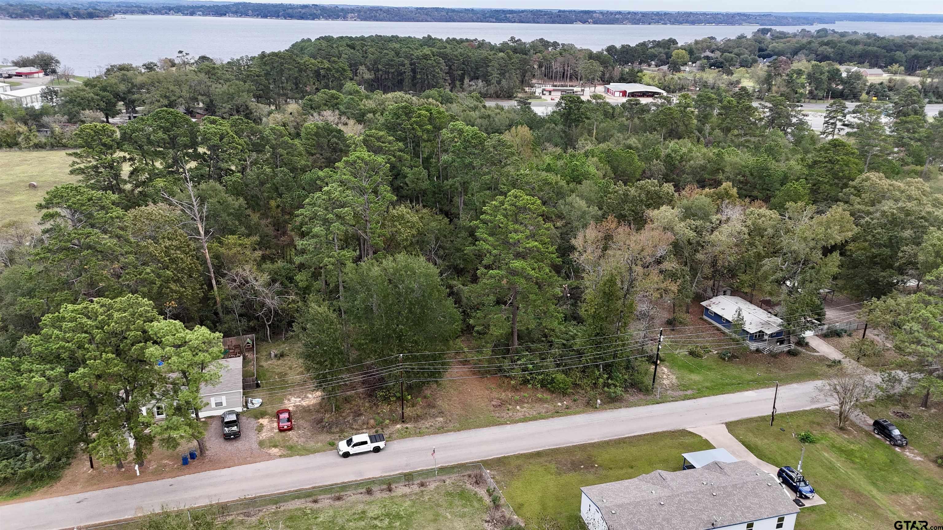 22604 Brierwood Drive, Frankston, Texas image 6
