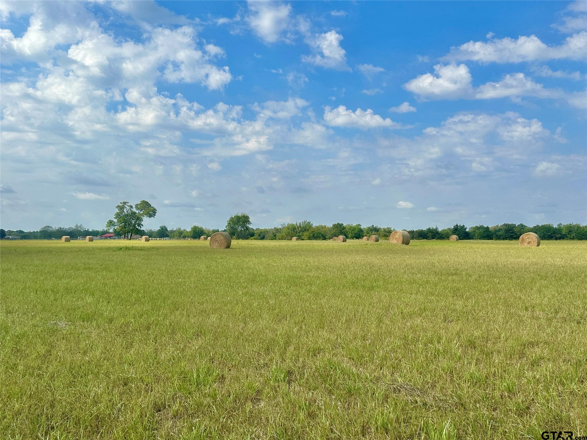 1951 County Road 1157, Brashear, Texas image 18