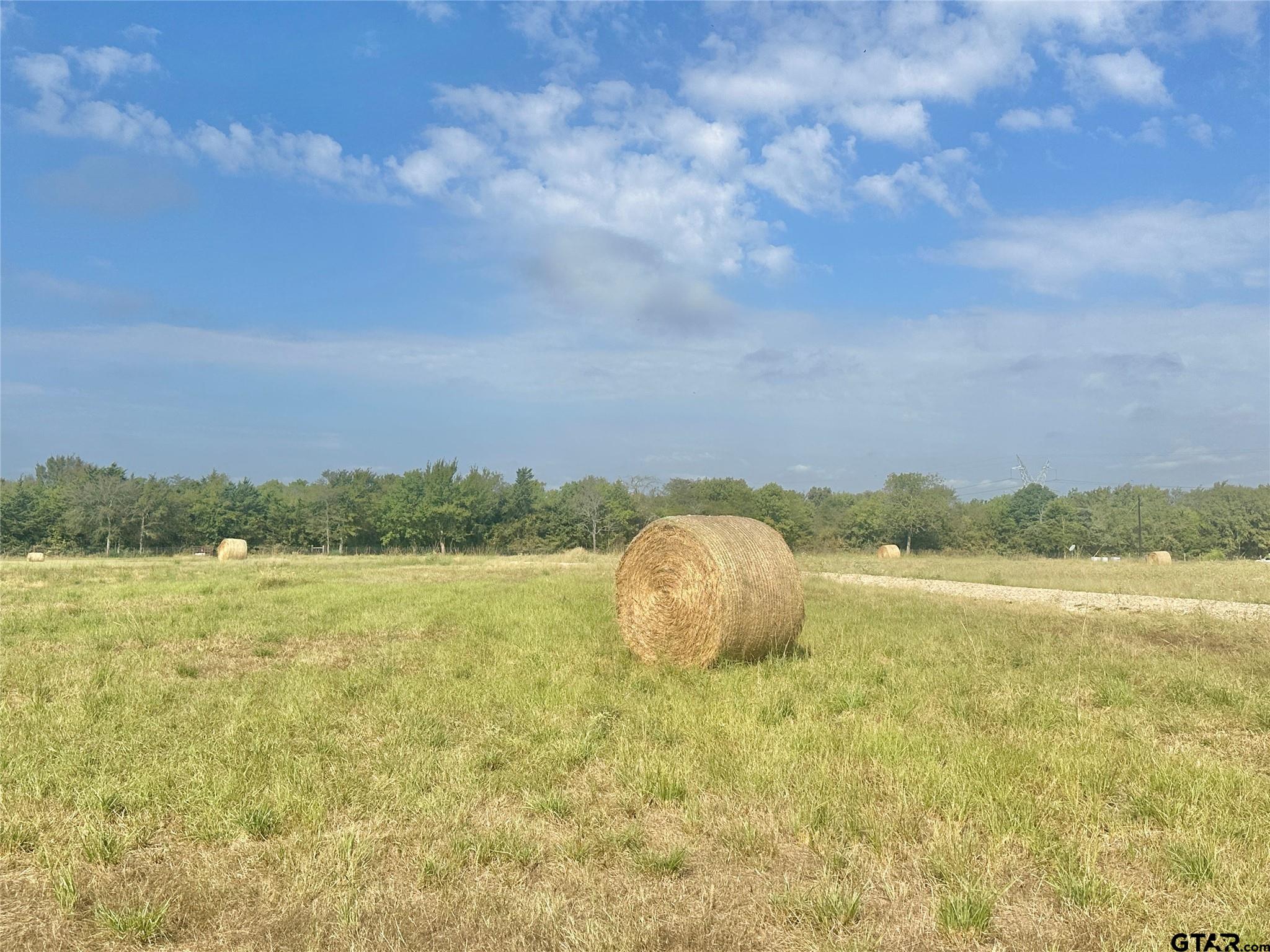 1951 County Road 1157, Brashear, Texas image 4