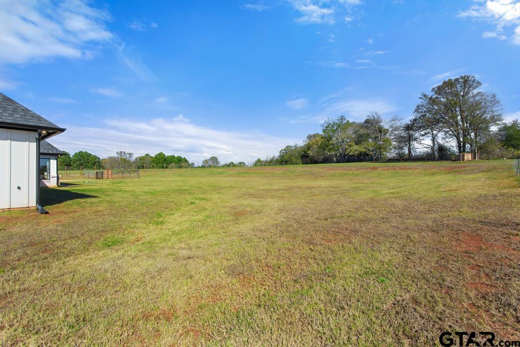 16652 Caeli Heights Ct, Winona, Texas image 35