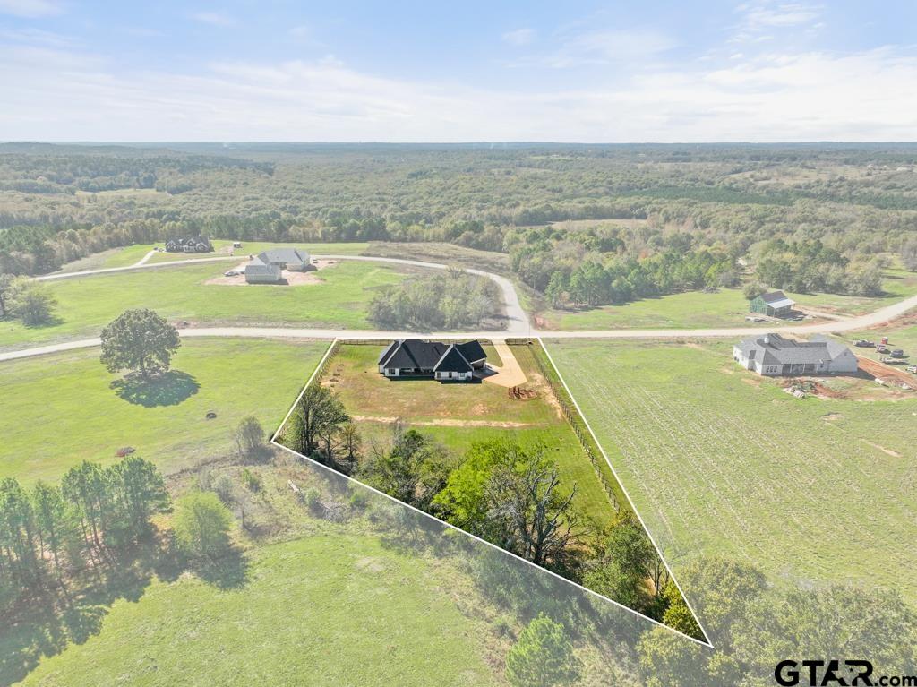 16652 Caeli Heights Ct, Winona, Texas image 44
