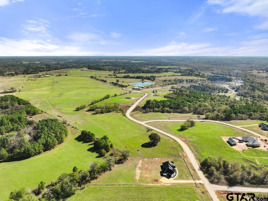16652 Caeli Heights Ct, Winona, Texas image 46