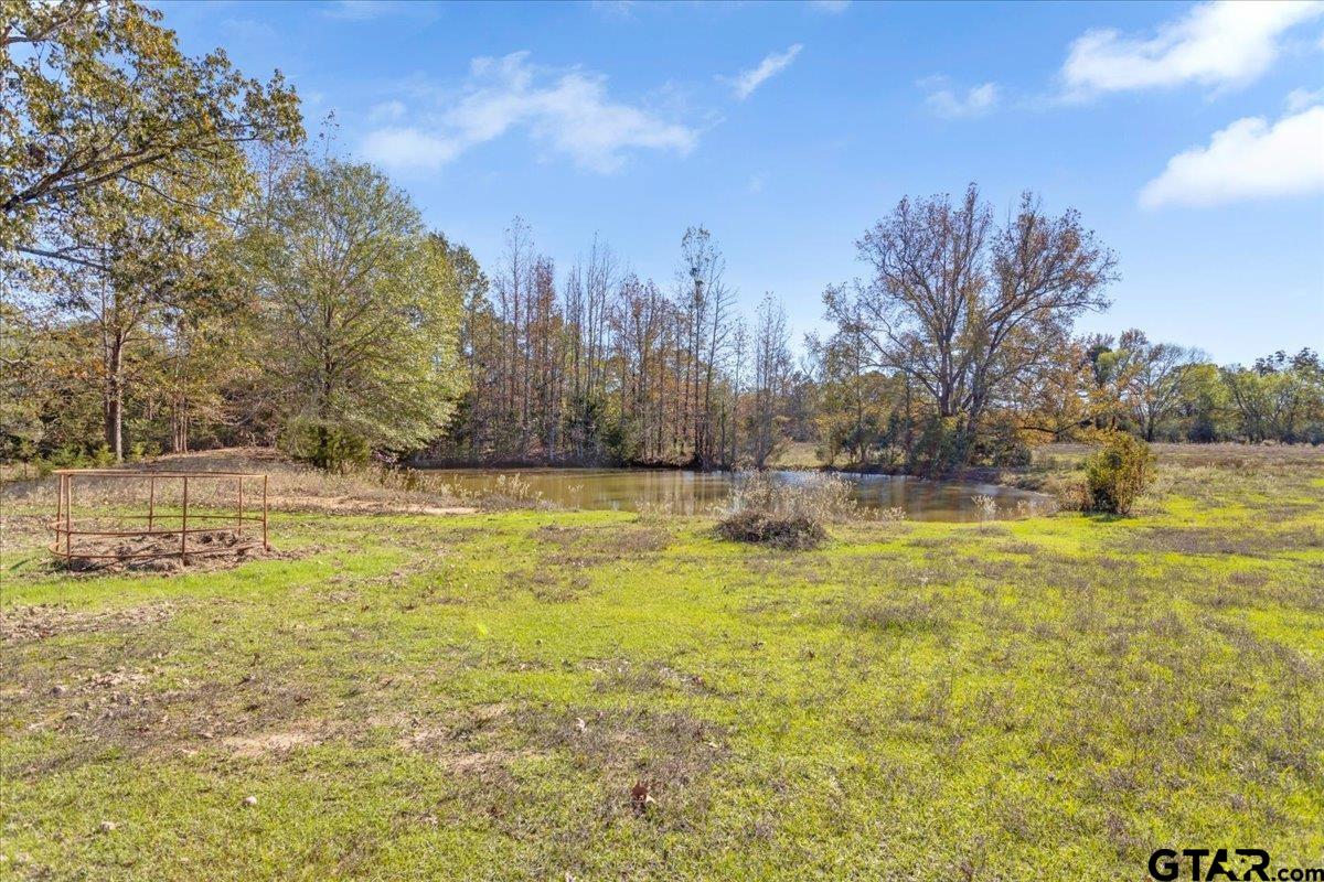 115 Cr 3302, Omaha, Texas image 33