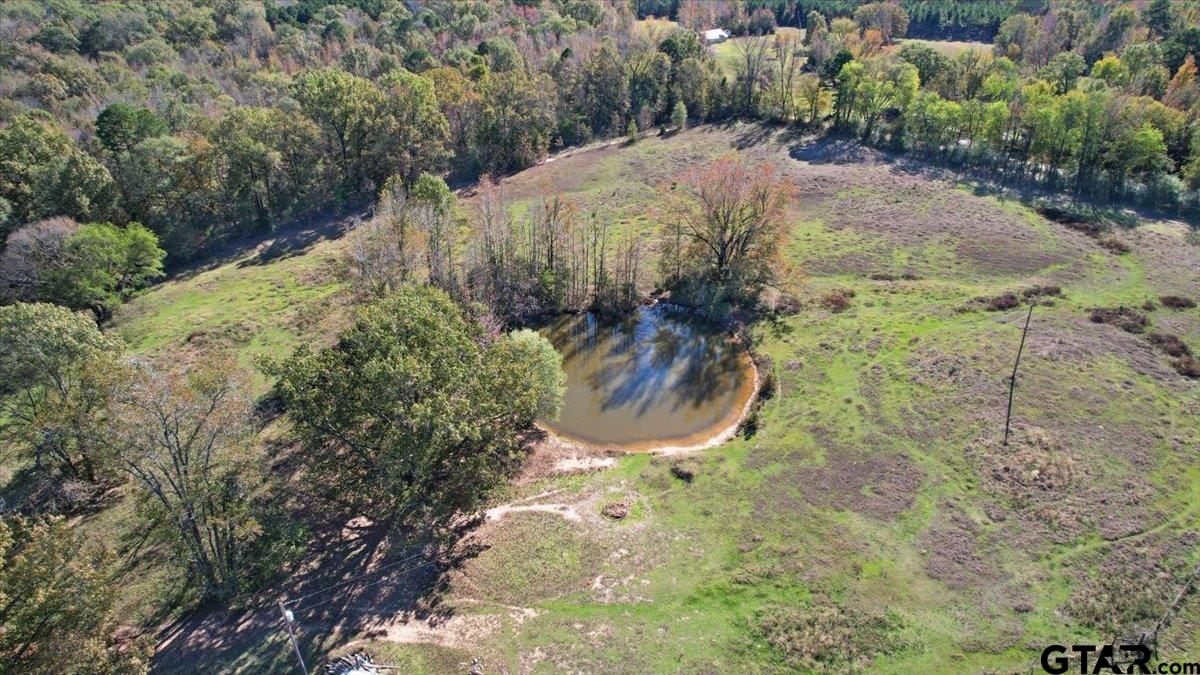 115 Cr 3302, Omaha, Texas image 36