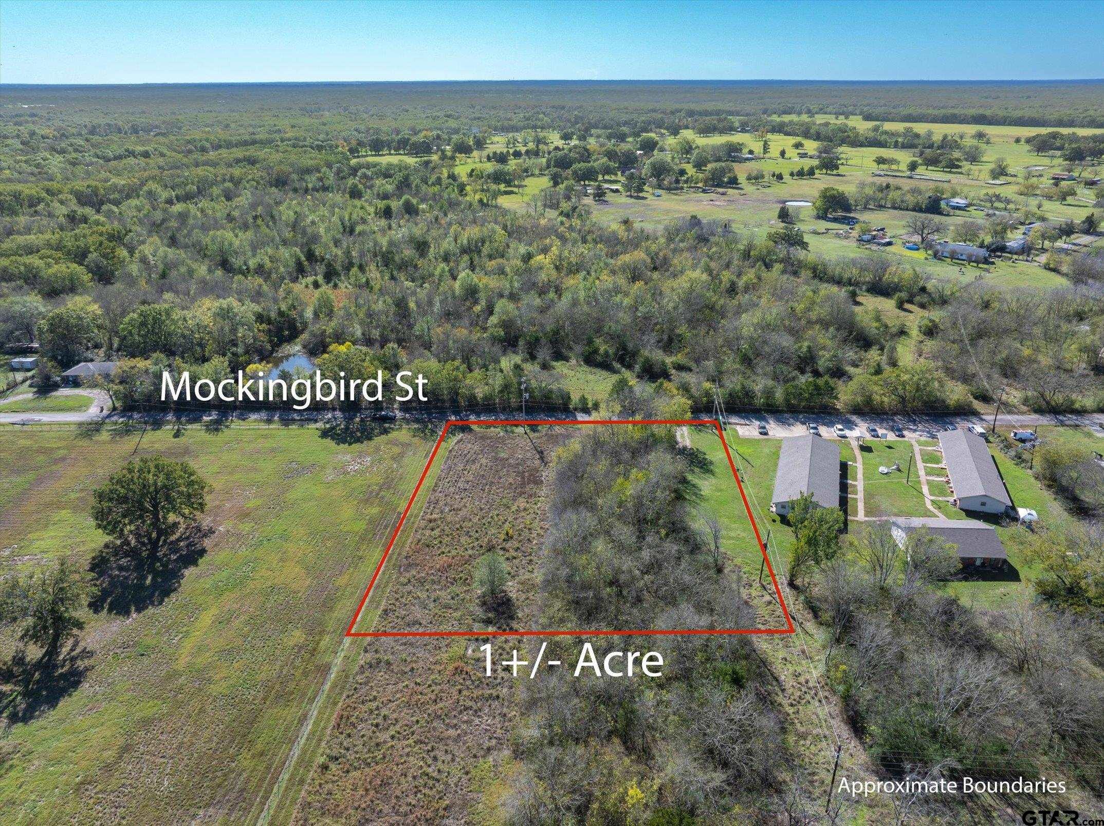 TBD Mockingbird Street, Alba, Texas image 7