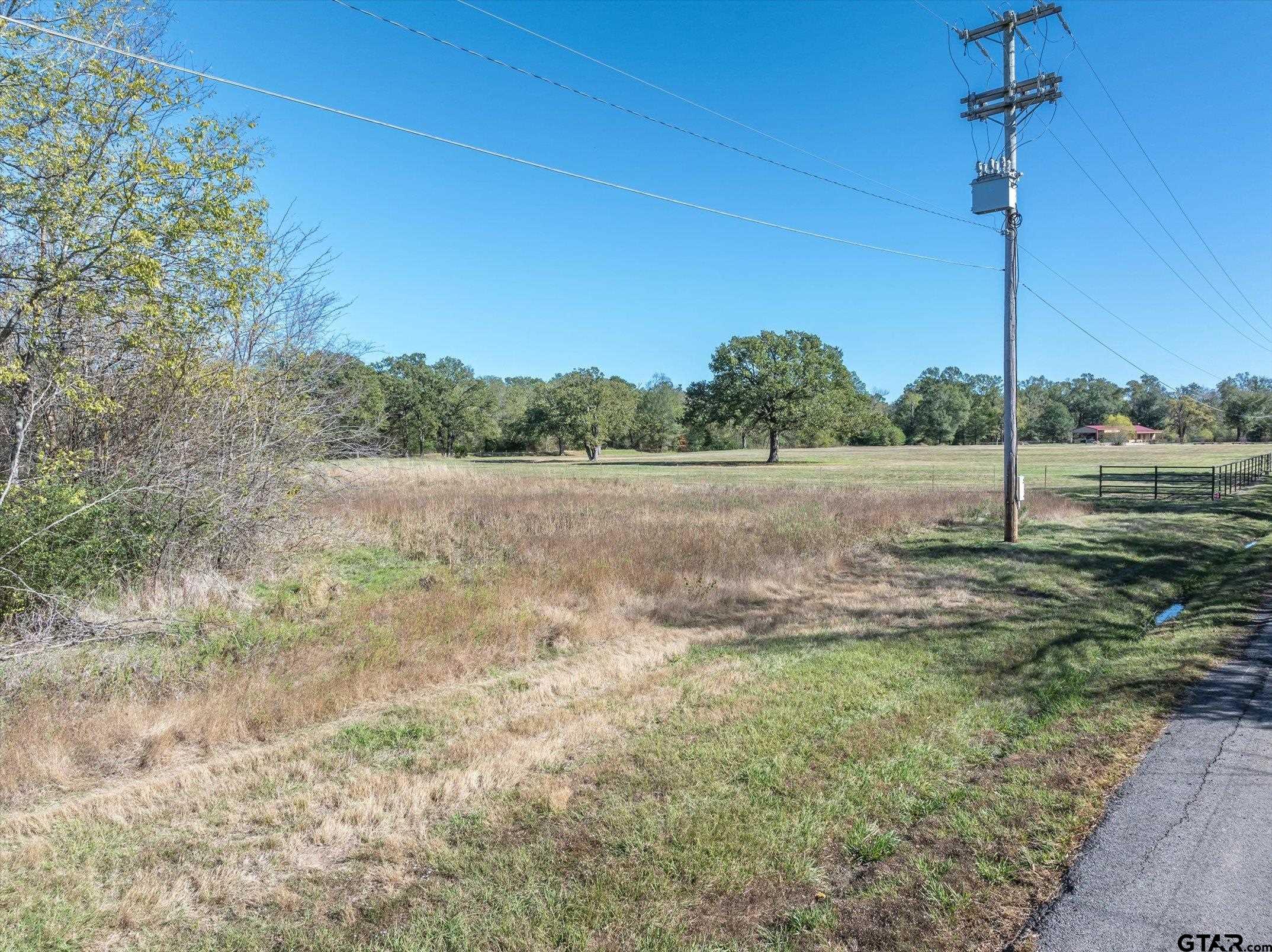TBD Mockingbird Street, Alba, Texas image 10