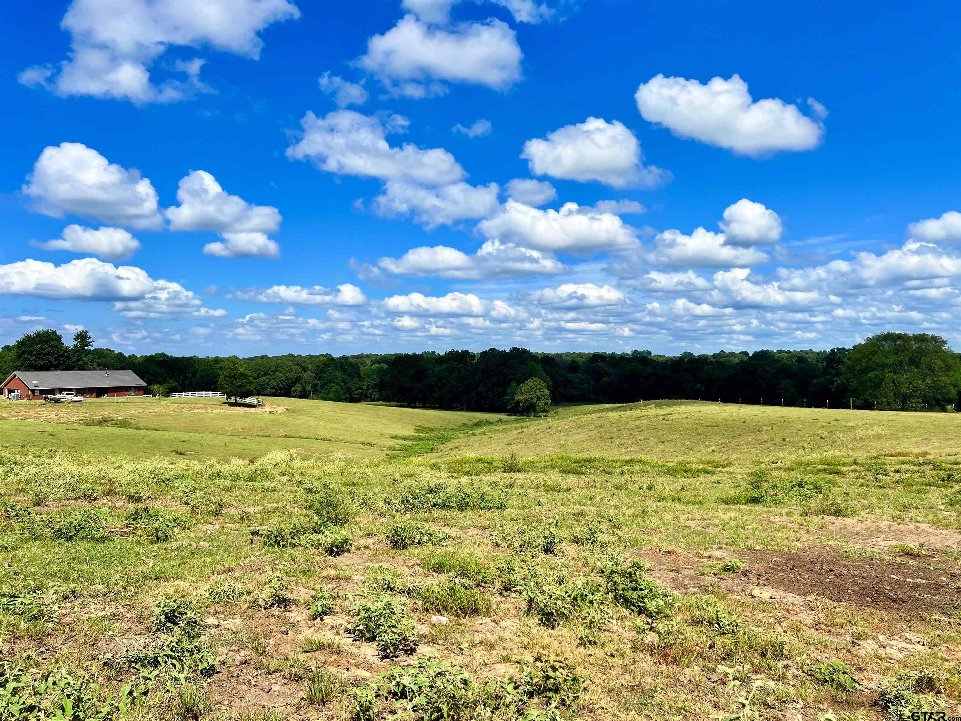 1348 County Road 3130, Cookville, Texas image 42