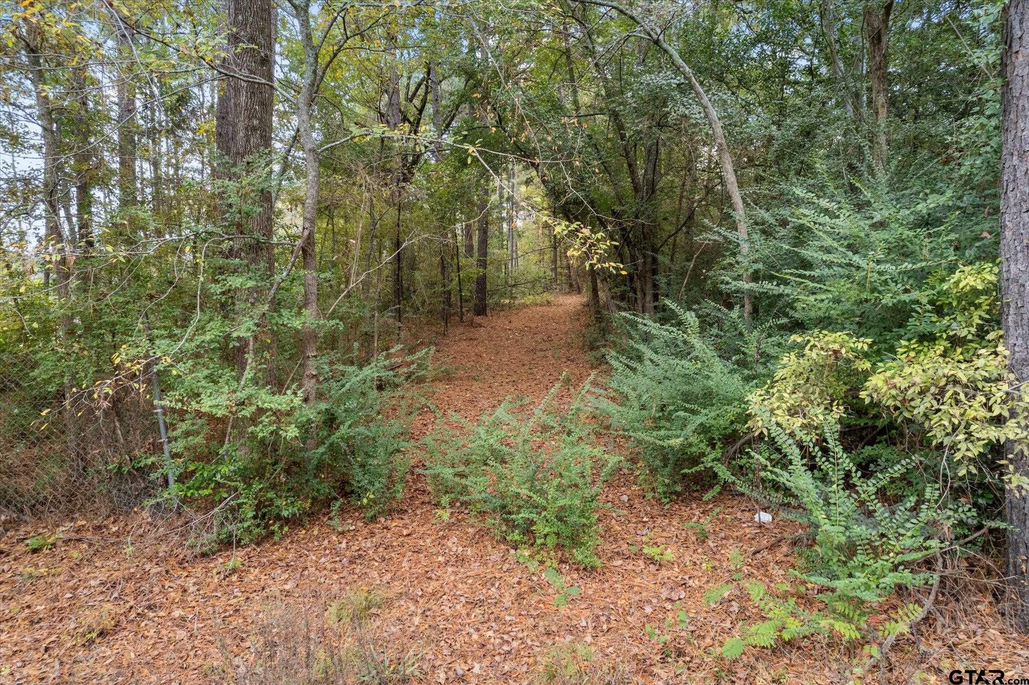 TBD Walnut, Hughes Springs, Texas image 11