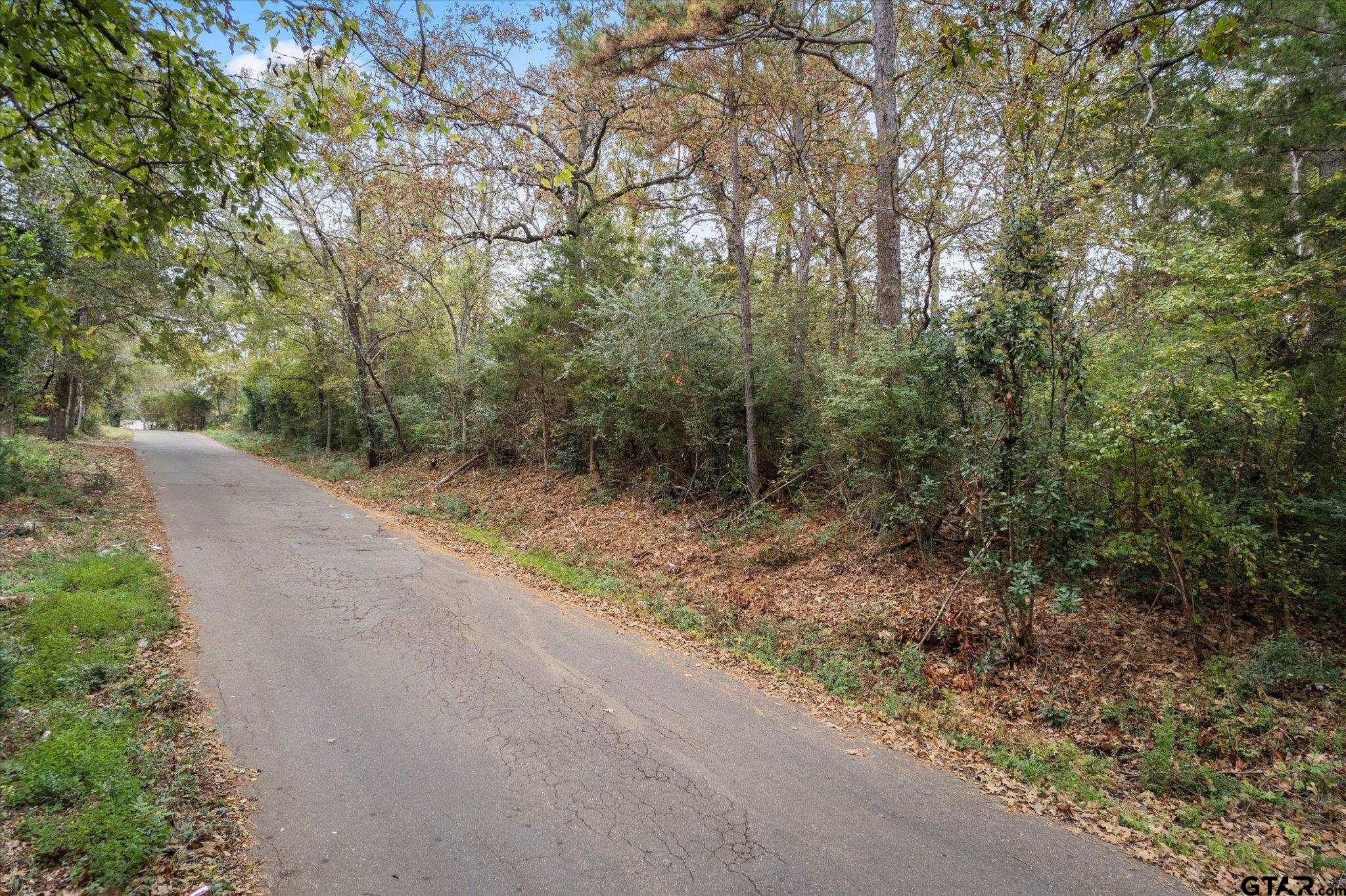TBD Walnut, Hughes Springs, Texas image 13