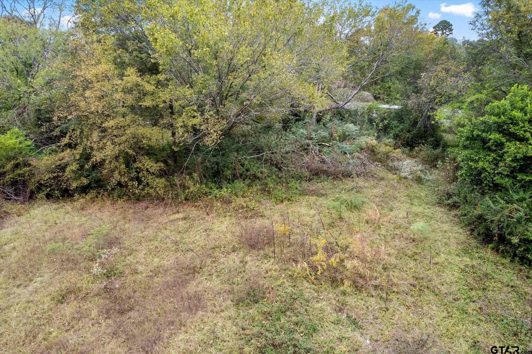 TBD Walnut, Hughes Springs, Texas image 10