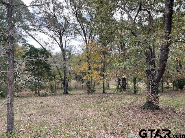 2825 J. Cupit Ct., Tyler, Texas image 1