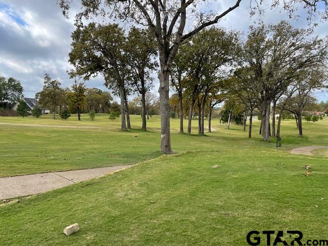 2825 J. Cupit Ct., Tyler, Texas image 13