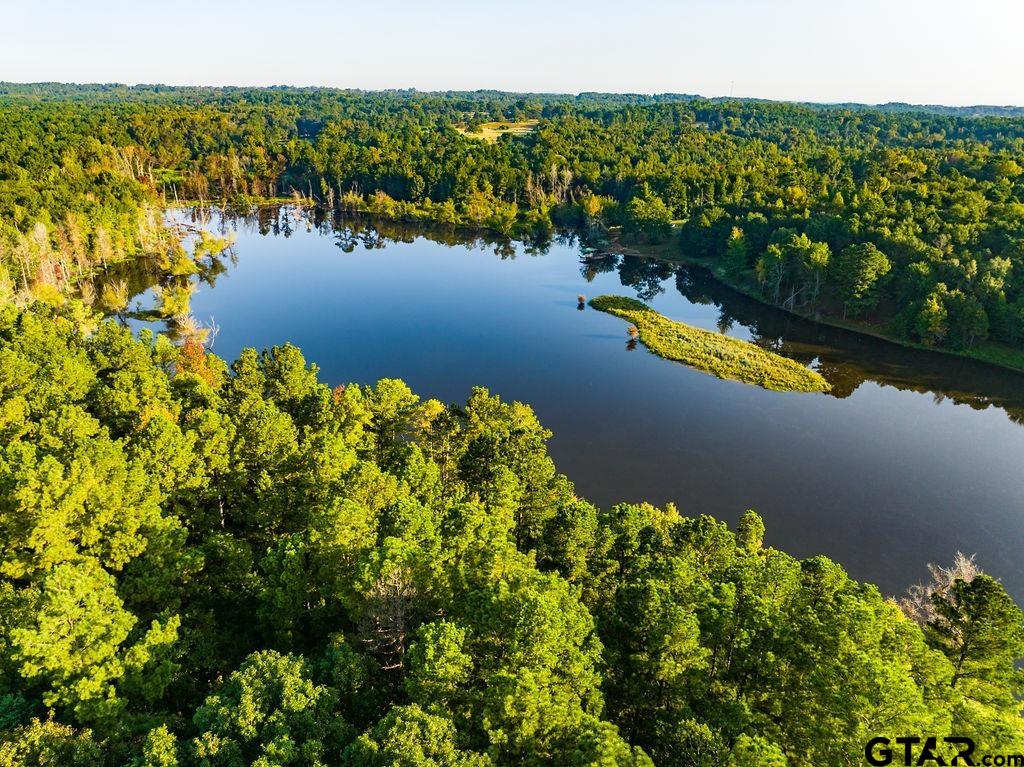 LOT 41 Fm 2015, Tyler, Texas image 11