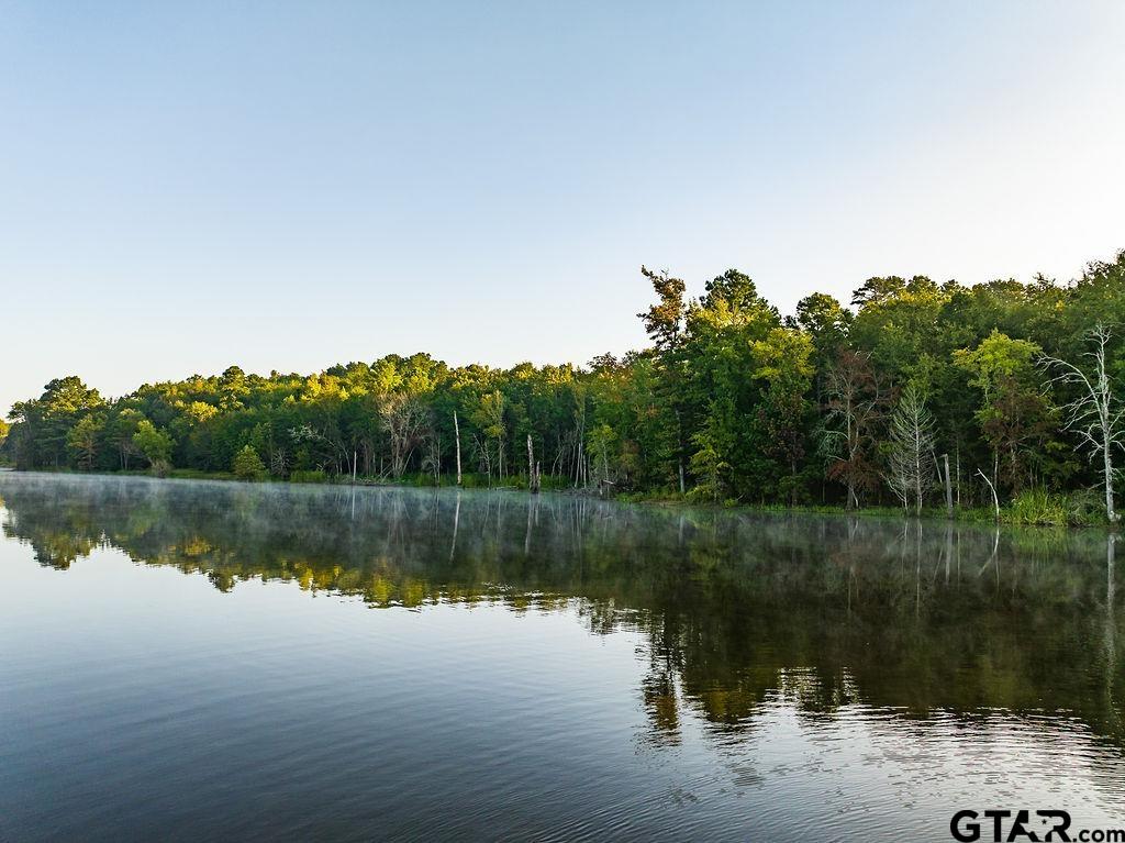 LOT 41 Fm 2015, Tyler, Texas image 13