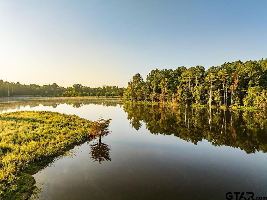LOT 41 Fm 2015, Tyler, Texas image 14