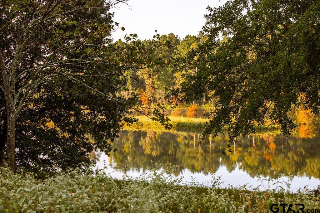 LOT 41 Fm 2015, Tyler, Texas image 3