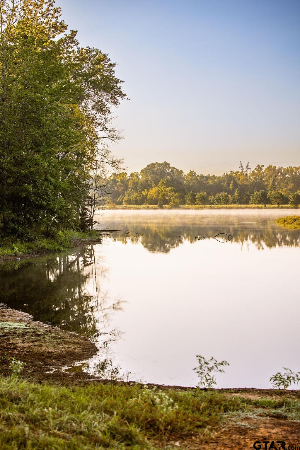 LOT 41 Fm 2015, Tyler, Texas image 4
