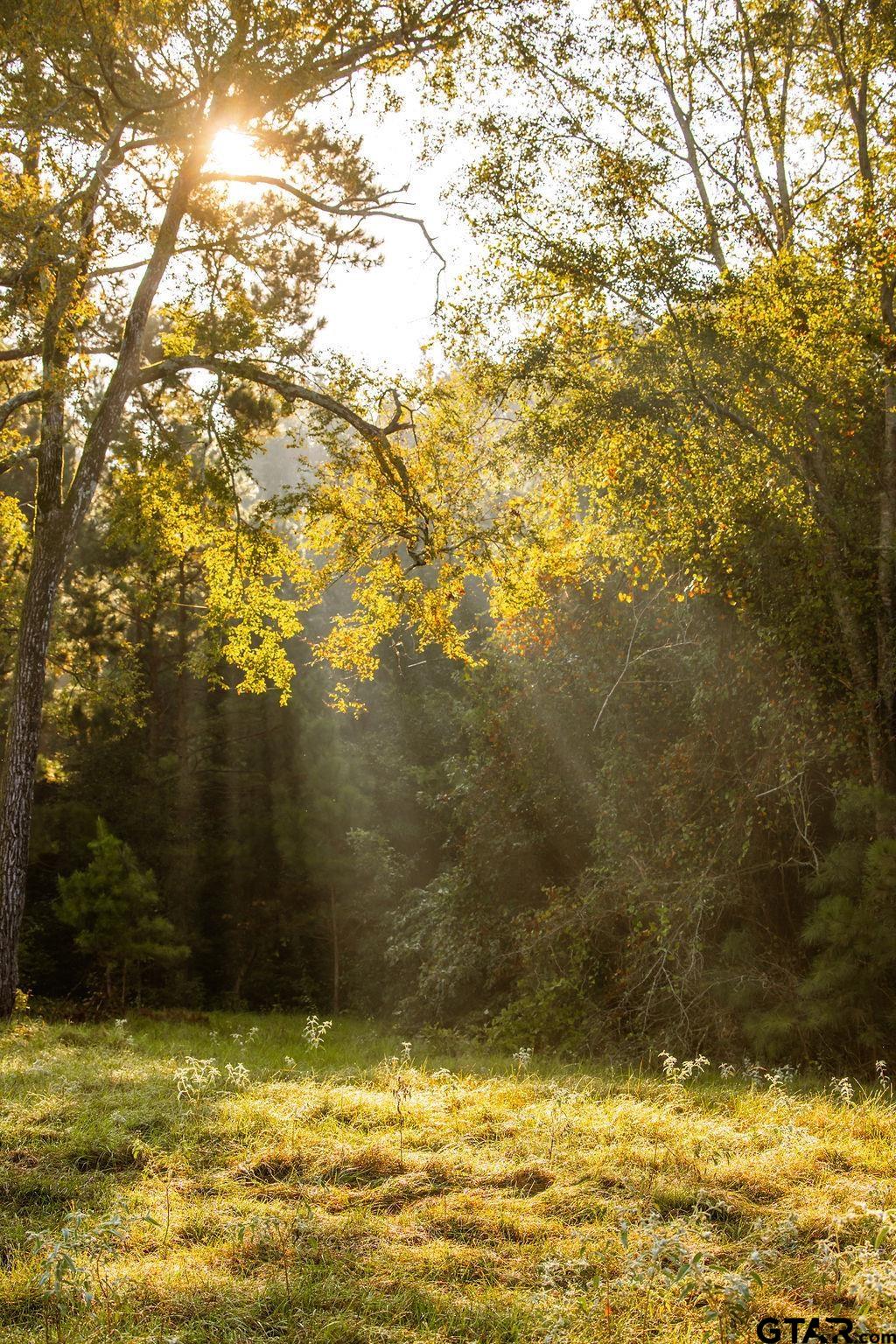 LOT 41 Fm 2015, Tyler, Texas image 5