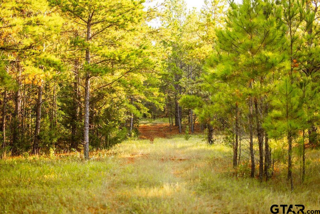LOT 41 Fm 2015, Tyler, Texas image 8