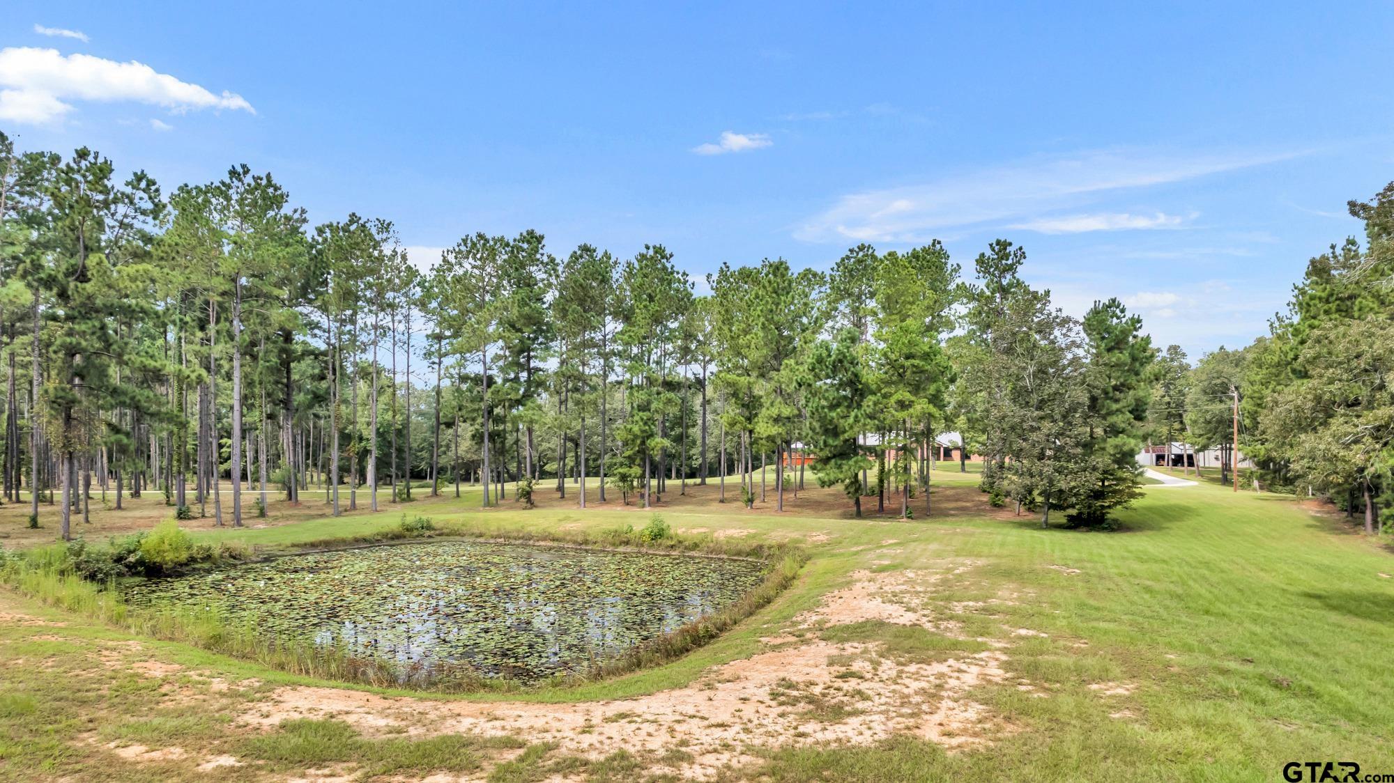 1346 W Cr 481, Henderson, Texas image 33