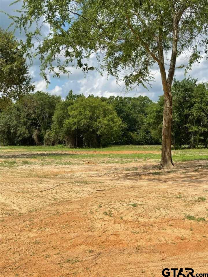 14811 Fallow Ln, Tyler, Texas image 2